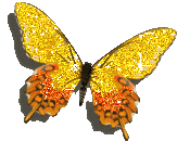 Butterfly Yellow Orange Sticker