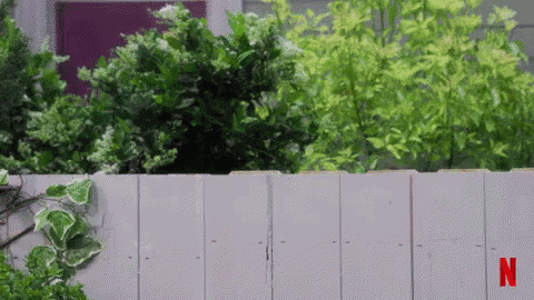 Buur GIF