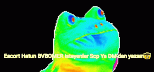 Bvbomer GIF