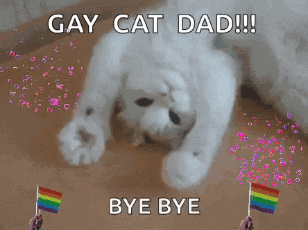 Bye Felicia Bye Bye Bye GIF