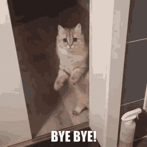 Bye Gif Bye Bye Gif GIF
