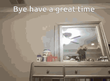 Bye GIF