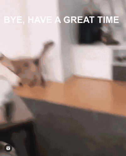 Bye Have A Great Time Shiro GIF