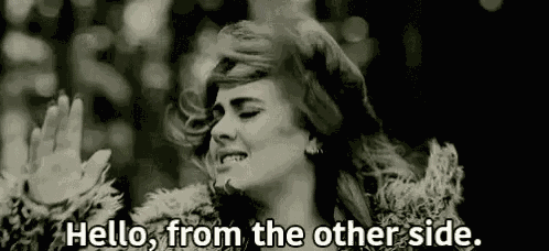 Bye Hello From The Other Side GIF