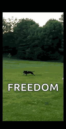 Bye Run GIF