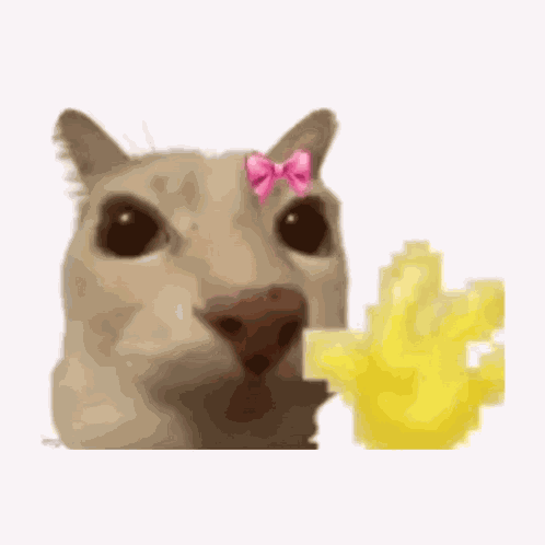 Byuntear Cat Waving GIF