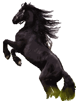 Caballos De Bronco Horse Sticker