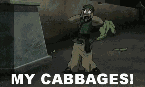 Cabbages The Last Airbender GIF
