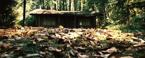 Cabin In The Woods GIF