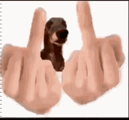 Cachorro Arrombado GIF