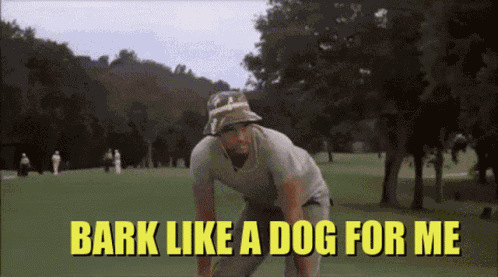 Caddy Shack Billmurray GIF