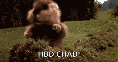 Caddy Shack GIF