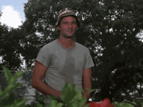 Caddyshack Bill GIF