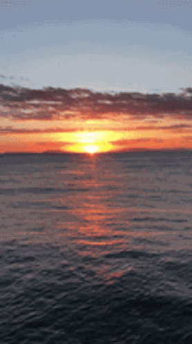 California Love GIF