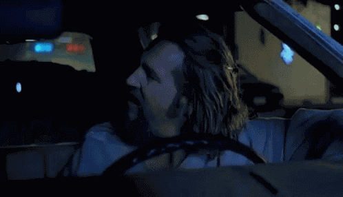 Calmer Than You Are Car GIF