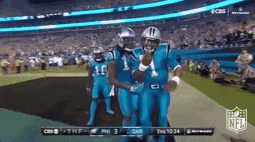 Cam Newton Athlete GIF