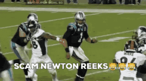 Cam Newton Scam Newton GIF