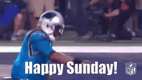 Cam Newton Sunday GIF