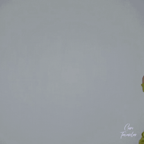 Cam Tavanlar Tv Series GIF