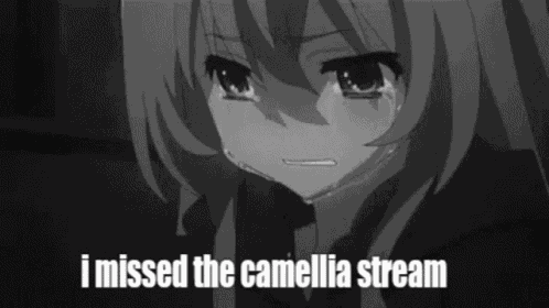 Camellia Stream GIF