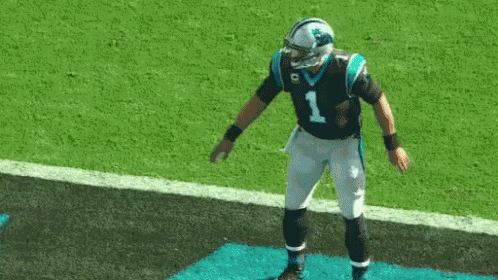 Camnewton Dab GIF