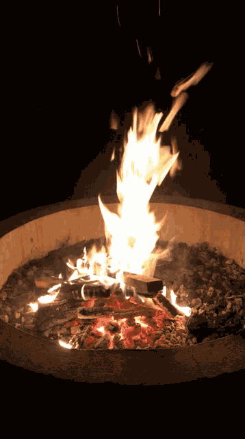Camp Fire Bonfire GIF
