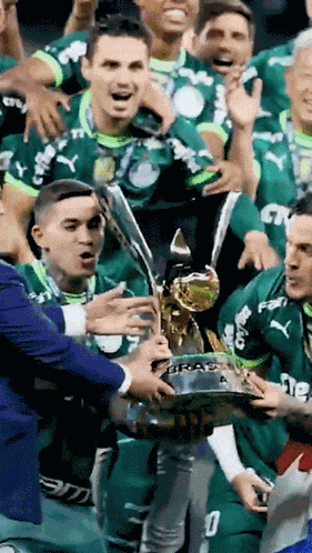 Campeão Brasileiro Jogadores Palmeirenses GIF