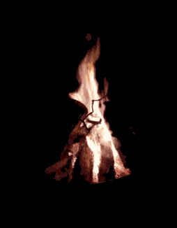 Campfire Fire GIF