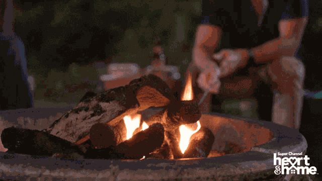 Campfire Smores GIF