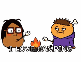 Camping Campfire GIF