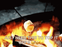 Camping Fire GIF