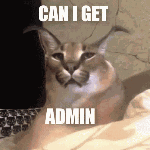 Can I Get Admin Can I Have Admin GIF