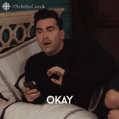 Can You Utilize A Little Bit More Of The English Language David GIF