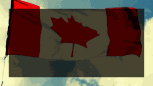 Canada Day Canada Flag GIF