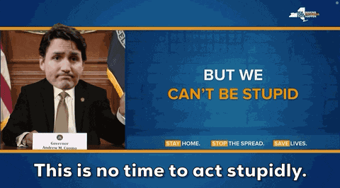Canars Clowns Trudeau GIF