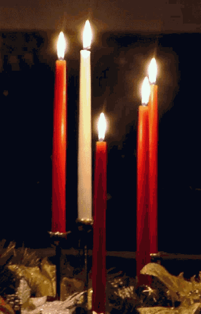 Candle Light GIF