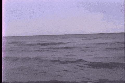 Candyboy Weyes Blood GIF