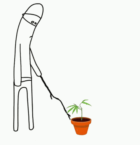 Cannabis Grow GIF