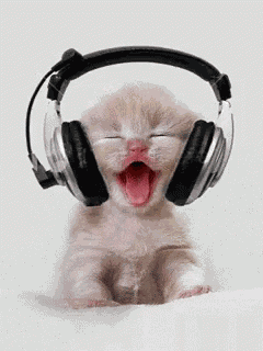 Cant Sleep To The Beat GIF