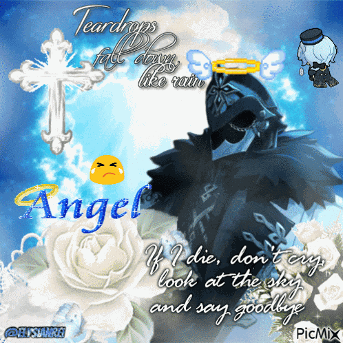 Capitano Genshin The Captain GIF