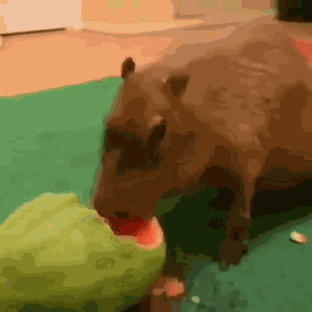 Capivara GIF