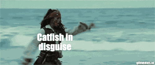 Captain Jack Sparrow Pirates GIF