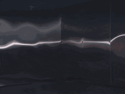 Capybara Cute Capybara GIF