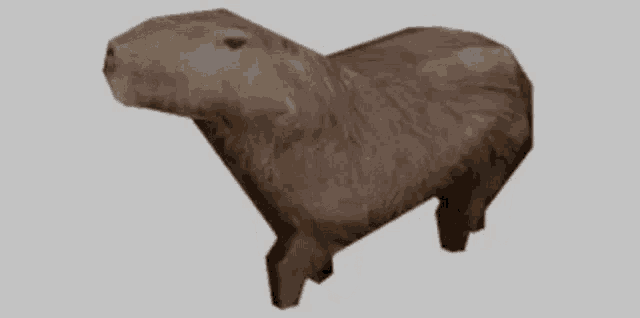 Capybara Lowpoly GIF