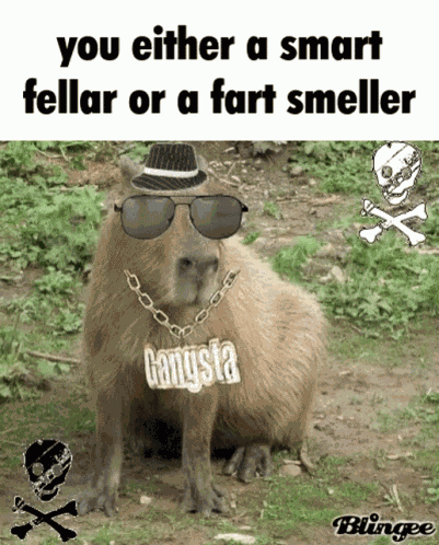 Capybara Sigma GIF