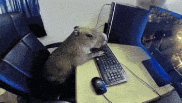 Capybara The Presinct GIF