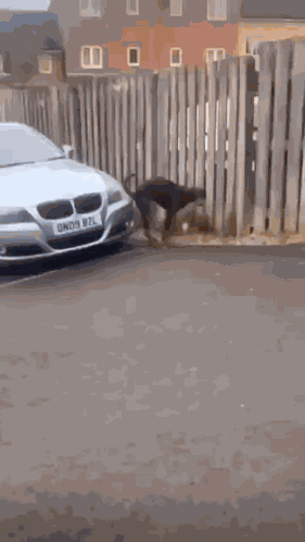 Car Bmw GIF