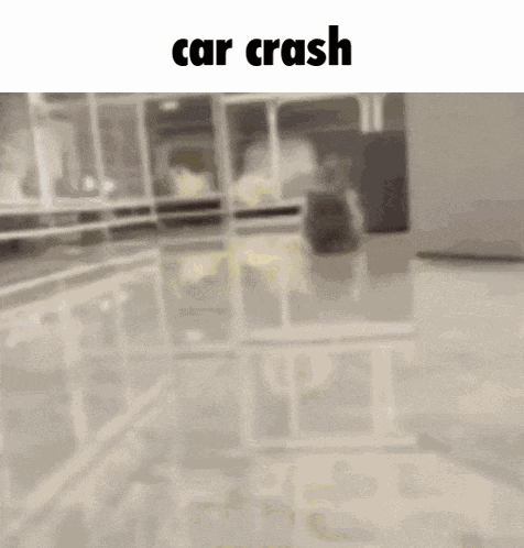 Car Crash Cat GIF