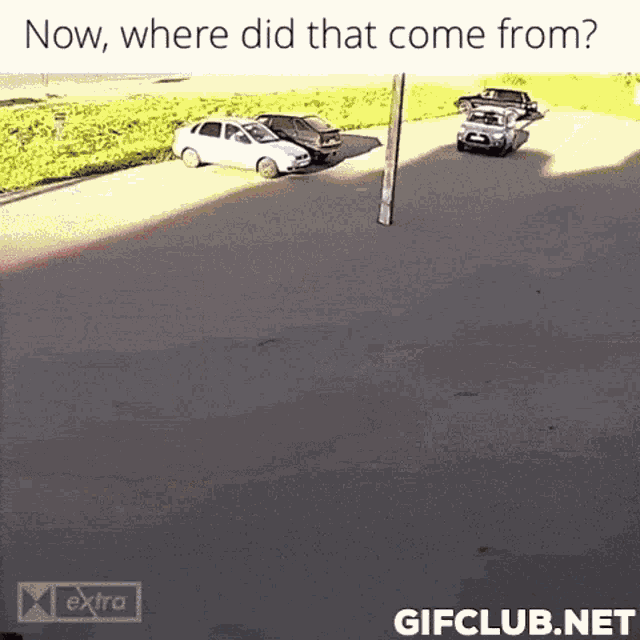 Car Pole GIF