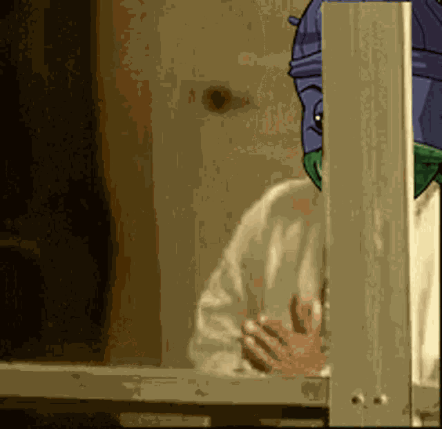 Cardano Bugs Cardano GIF